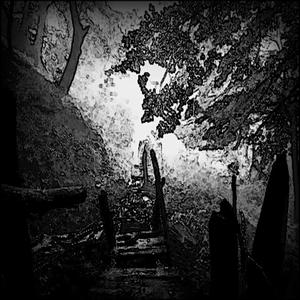 Celebration Of A Dying Nation