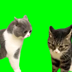 F.I.G.H.T. (sped up)