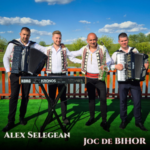 Joc de BIHOR