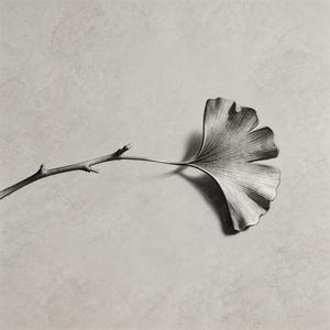 可惜春风不懂我伤悲（像你不懂我心碎）