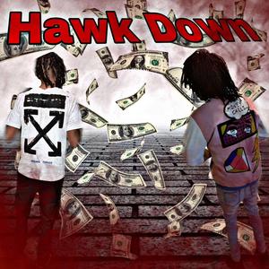 Hawk Down