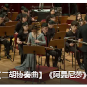 阿曼尼莎民管_尾声2裙摆