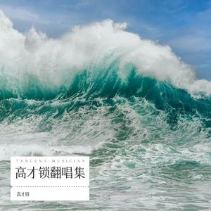 爱上你算我失控 (高才锁 remix)