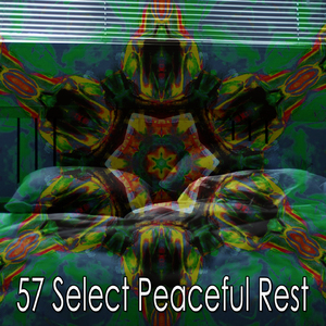 解放你的大腦去睡覺