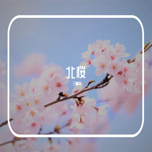 北桜