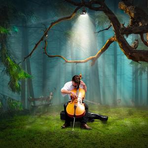 Dreaming Cello