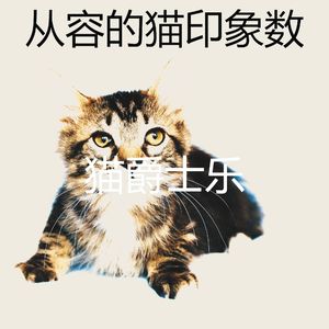 优美小猫器乐