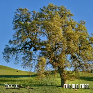 The Old Tree