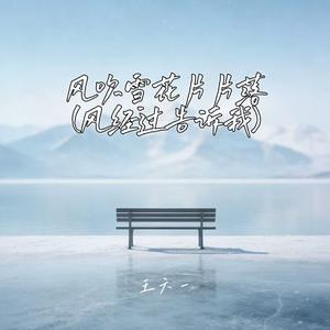 风吹雪花片片落 (风经过告诉我)