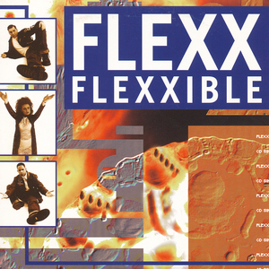 Flexxible (Pierre J's Clubmix)