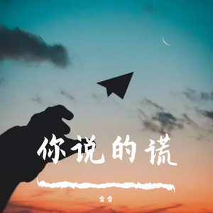 你说的慌 伴奏
