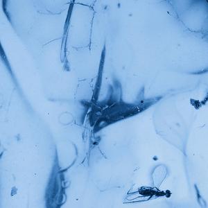 [FREE]”知否“Guitar type beat