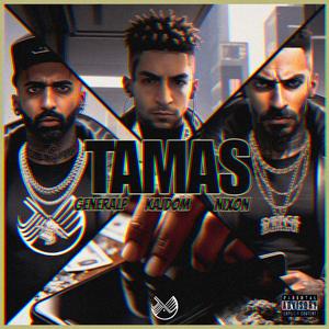 TAMAS