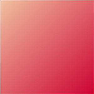 NO REGRETS (Cover)