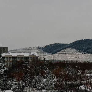 傍晚和蝉（prod.y Morrow x Bino)