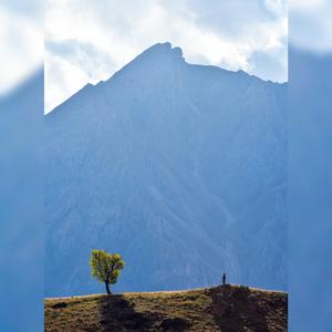 Umudun Çığlığı