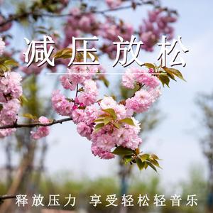 梦中花园 轻柔（放松纯音乐）