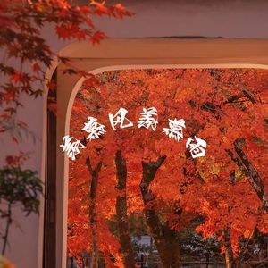 羡慕风羡慕雨(DJ版)