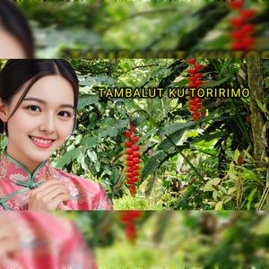 TAMBALUT KU TORIRIMO