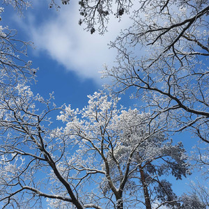 Смотреть на небо