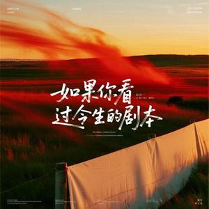 如果你看过今生的剧本 (降调版)