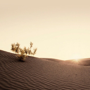 七月上（翻自 Jam）