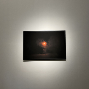 Not the one you know （cover:张羽涵）（翻自 张羽涵Leezi）