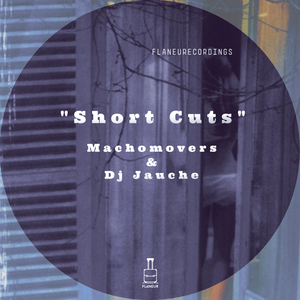 Shakin' (DJ Jauche Radio Mix)