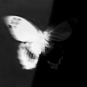 我们在支离破碎的世界里疯狂寻找爱情