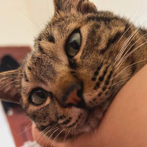 擎力向前 伴奏