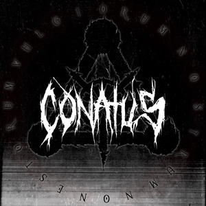 Illusions d'Égalité