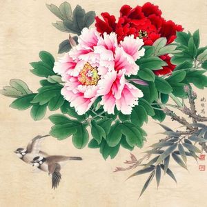 牡丹之歌_蒋大为