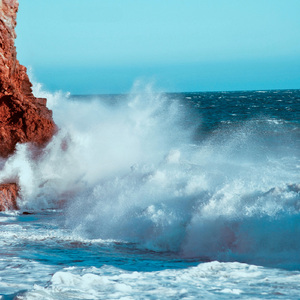 Caminado en la Orilla