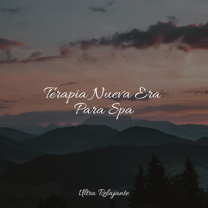 Árboles En El Bosque