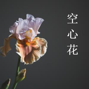 空心花(伴奏)