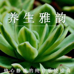 修心静谧（放松纯音乐）