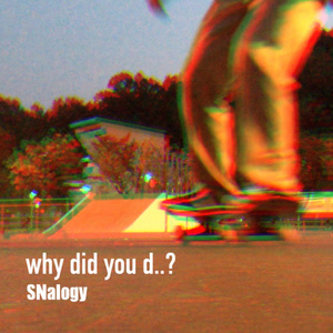 Why Did You D..?