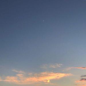 空山新雨后（翻自 音阙诗听）