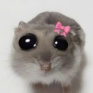 I’m so crazy for you