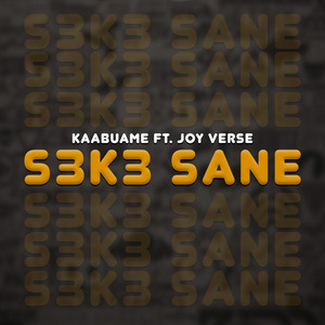 S3k3 Sane