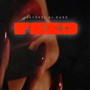 Feed