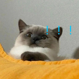 让我为你唱首歌