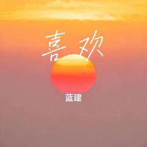喜欢 (蓝建 Remix)