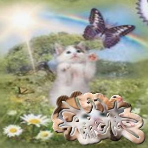 Burgerless Compound: Feline