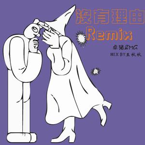 永彬Ryan.B-没有理由Remix-------（milk green / D•SKY•Z remix）