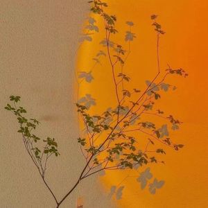 就让这大雨全都落下（男生版）