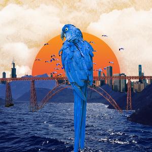 Pájaros Azules (feat. Fénix Castro)