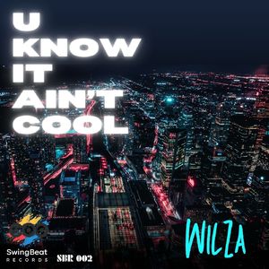 U Know It Ain't Cool (Radio Edit)