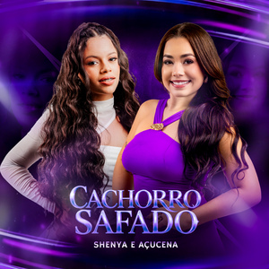 Cachorro Safado