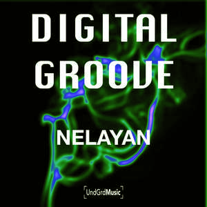 Digital Groove (Vincent (it) remix)